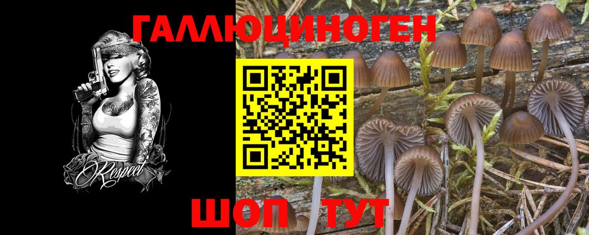 Галлюциногенные грибы Magic Shrooms Сертолово