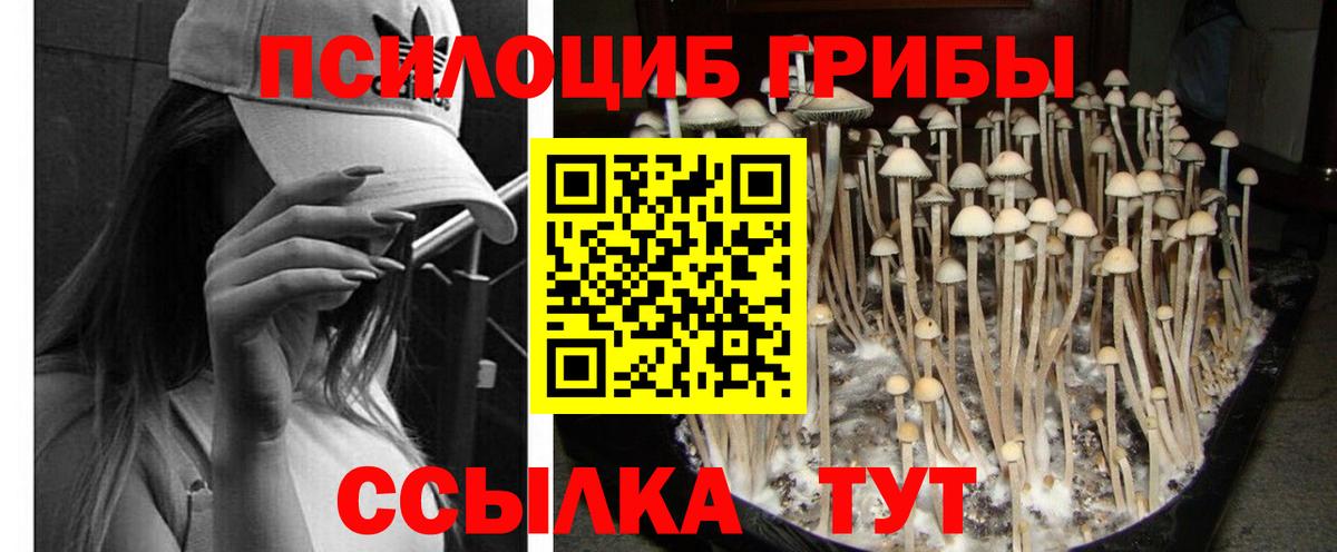 Галлюциногенные грибы Magic Shrooms  Вход с VPN  Сертолово 